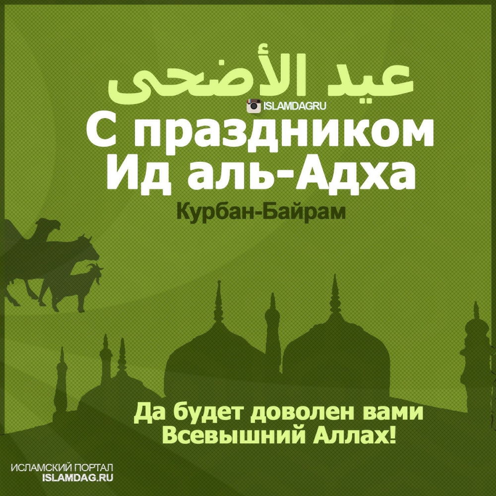 С праздником Ид-аль-Адха!