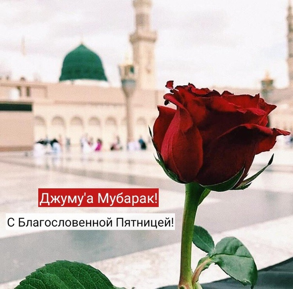 С Благословенной Пятницей всех!* *?