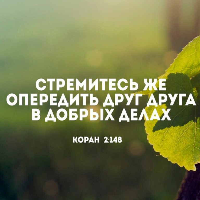 Занимайтесь полезными делами